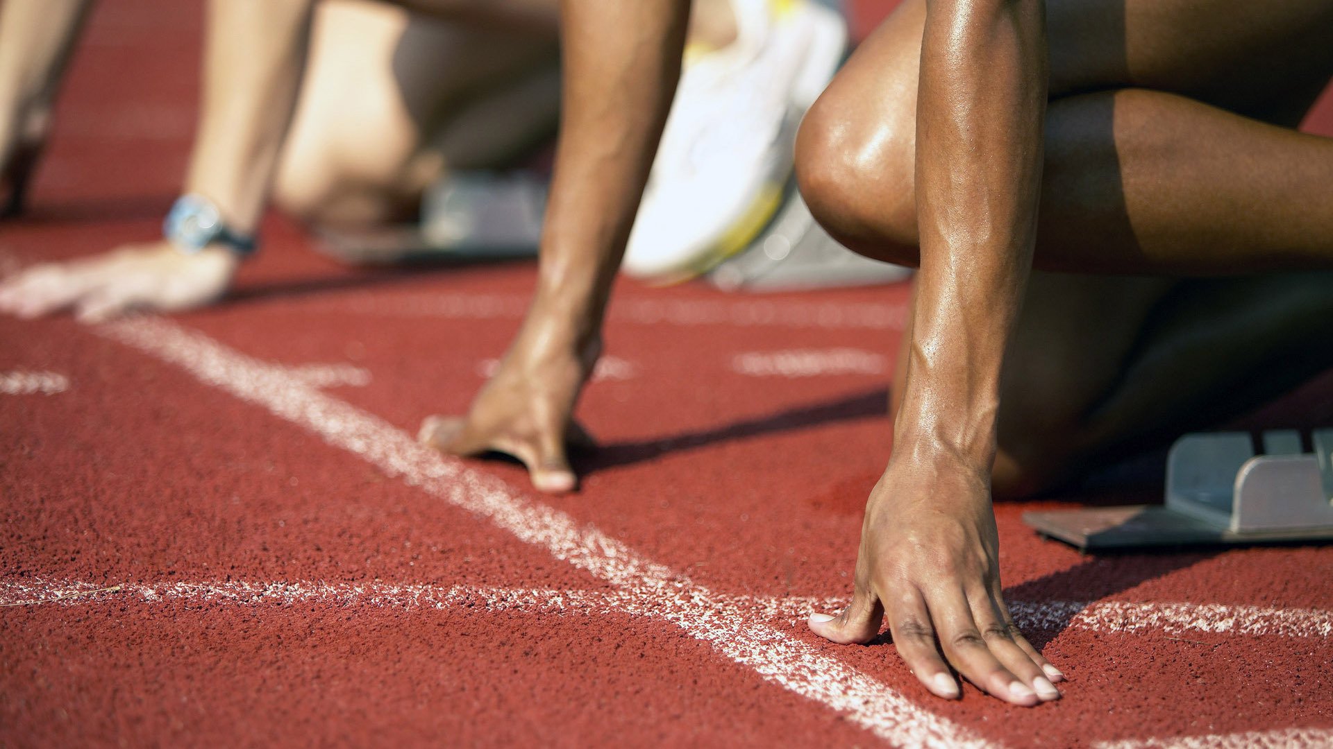 体育新闻中心推动体育传播平台数据共享机制,专业的体育新闻网站